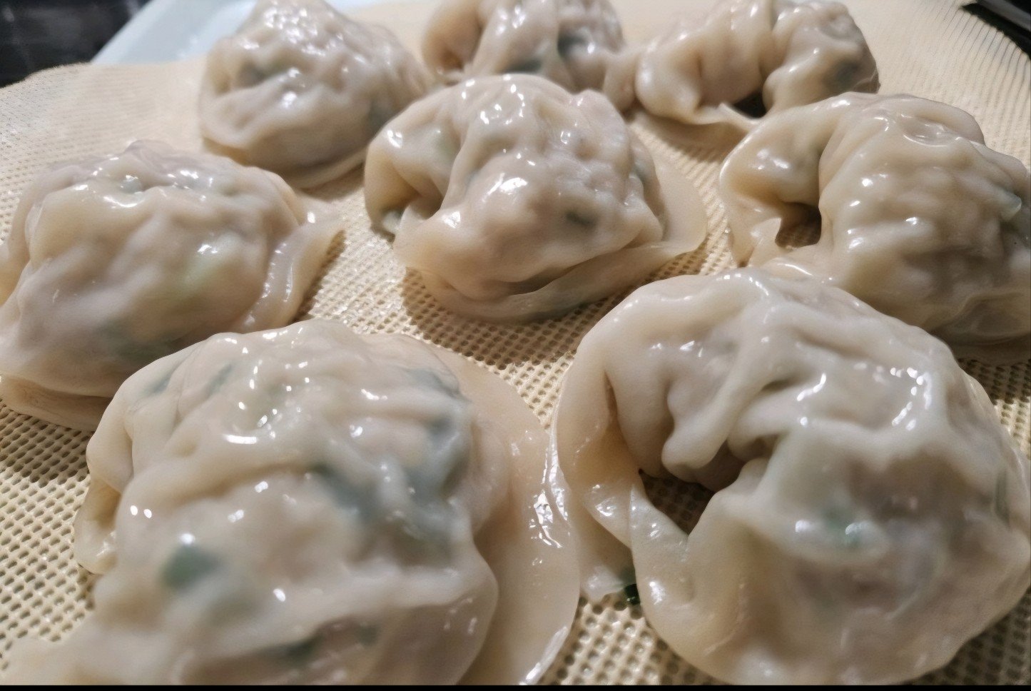 Meat Shrimp Dumpling